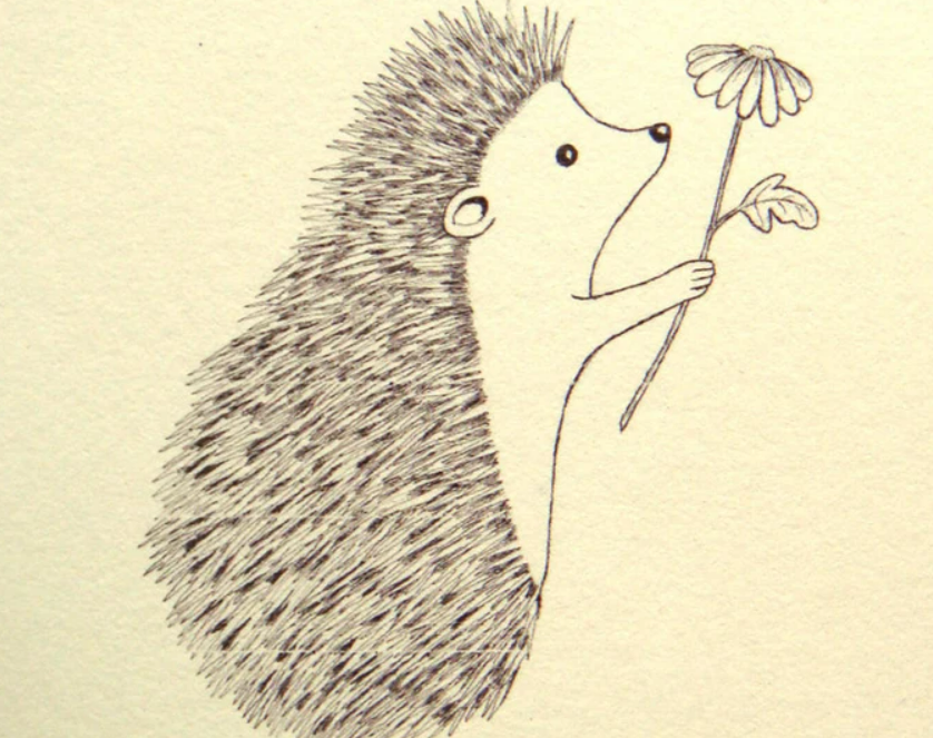 Hedgehog Ink Drawing