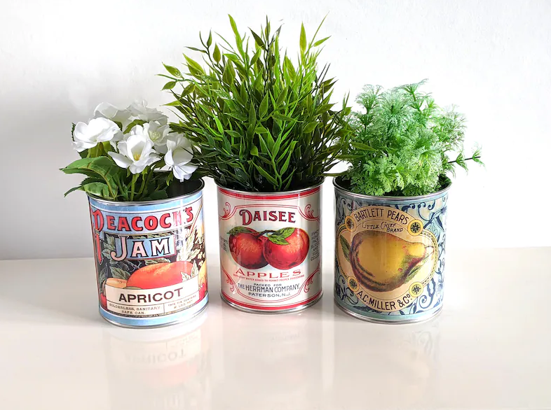 herbs in tin can vases