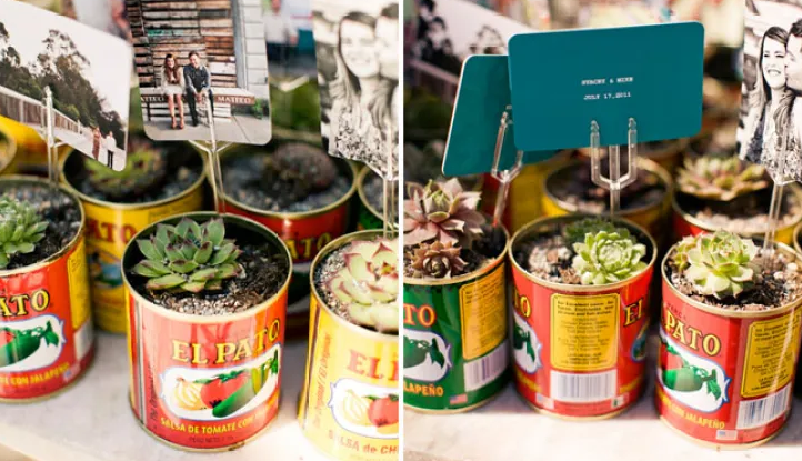 succulents in tin cans