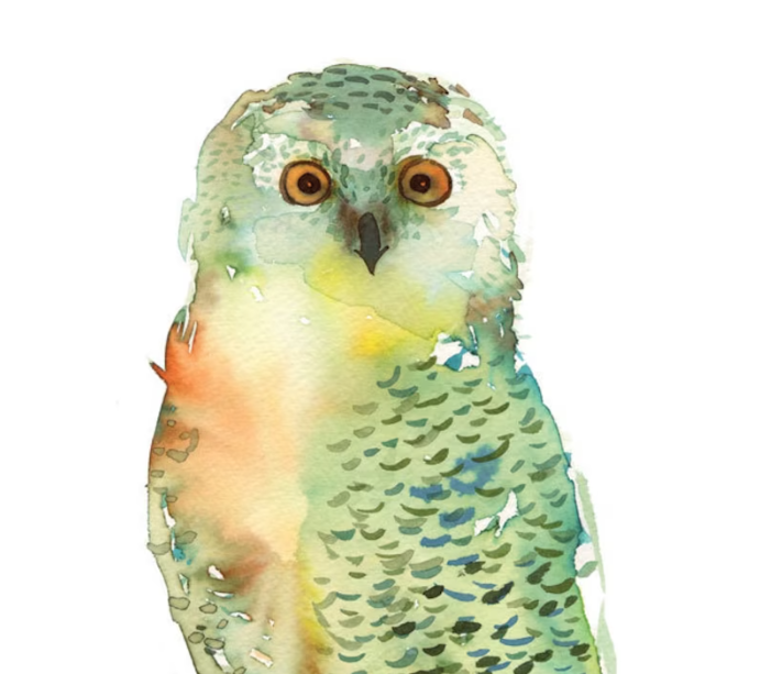 green owl watercolor