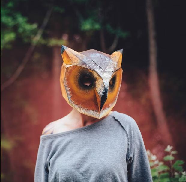 owl 3d mask