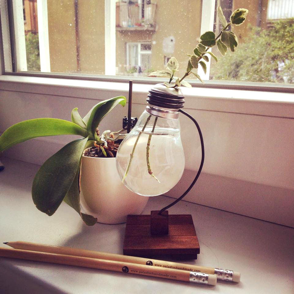 upcycled lightbulb vase