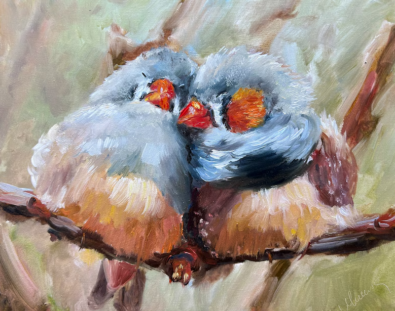 Zebra Finch Original Oil Painting