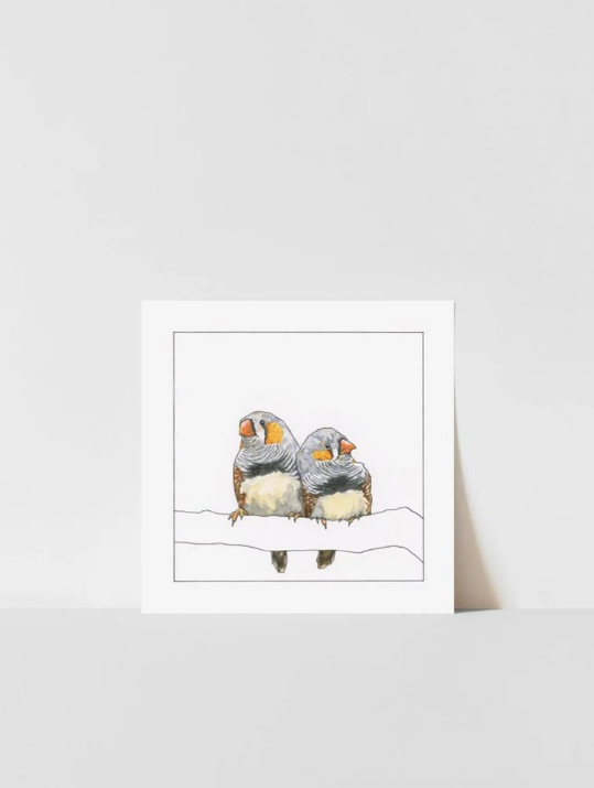 Zebra Finch couple fine art print